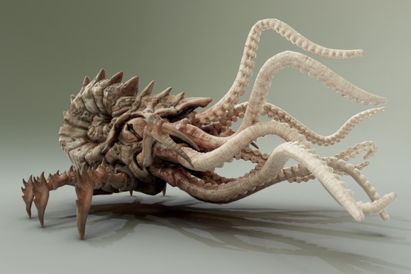 Kraken ссылка зеркало